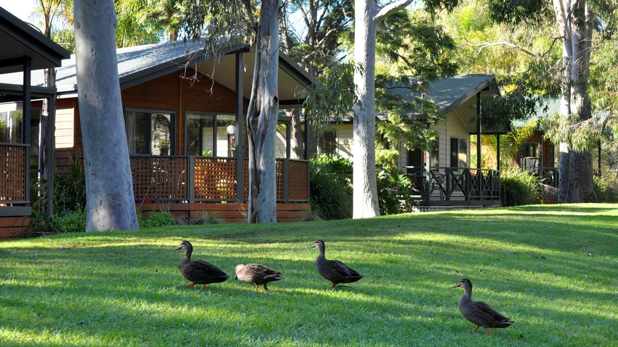Marion Holiday Park Adelajda Zewnętrze zdjęcie
